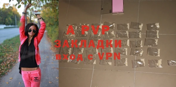 амф Богданович