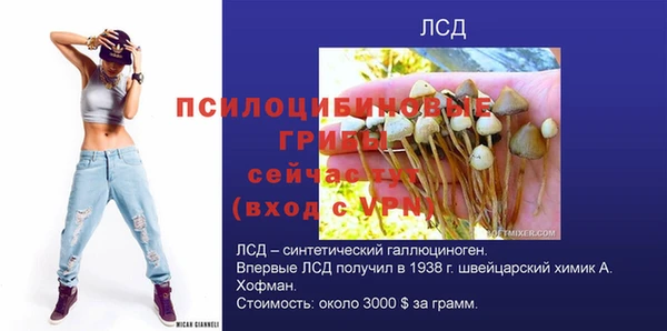 амф Богданович