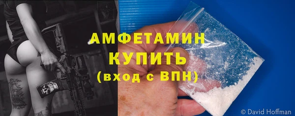 амф Богданович