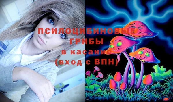 ПСИЛОЦИБИНОВЫЕ ГРИБЫ Богородицк