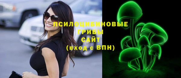 хмурый Богородск