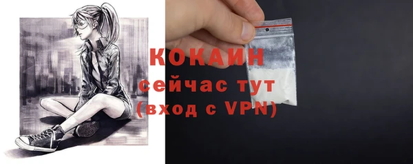 хмурый Богородск