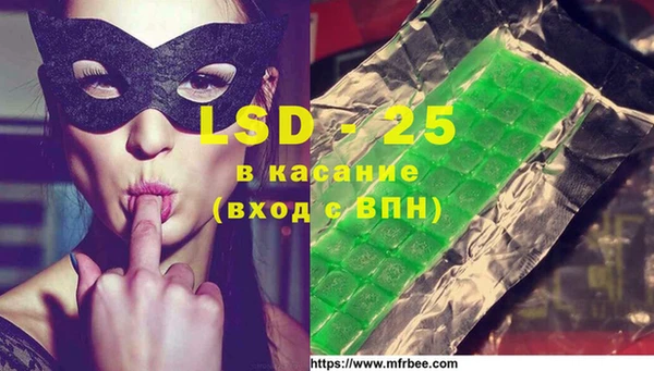 амф Богданович