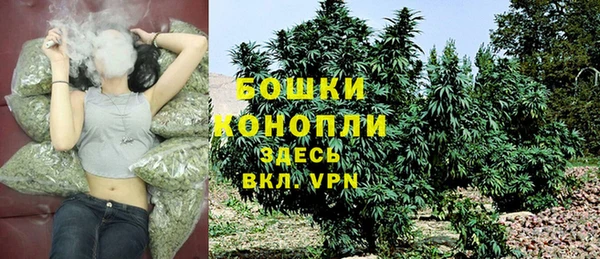 ПСИЛОЦИБИНОВЫЕ ГРИБЫ Богородицк