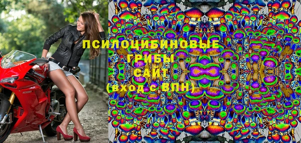 ПСИЛОЦИБИНОВЫЕ ГРИБЫ Богородицк