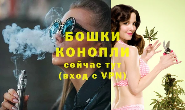 амф Богданович