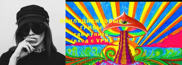 ПСИЛОЦИБИНОВЫЕ ГРИБЫ Богородицк