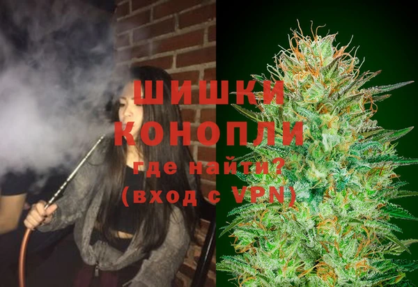 хмурый Богородск