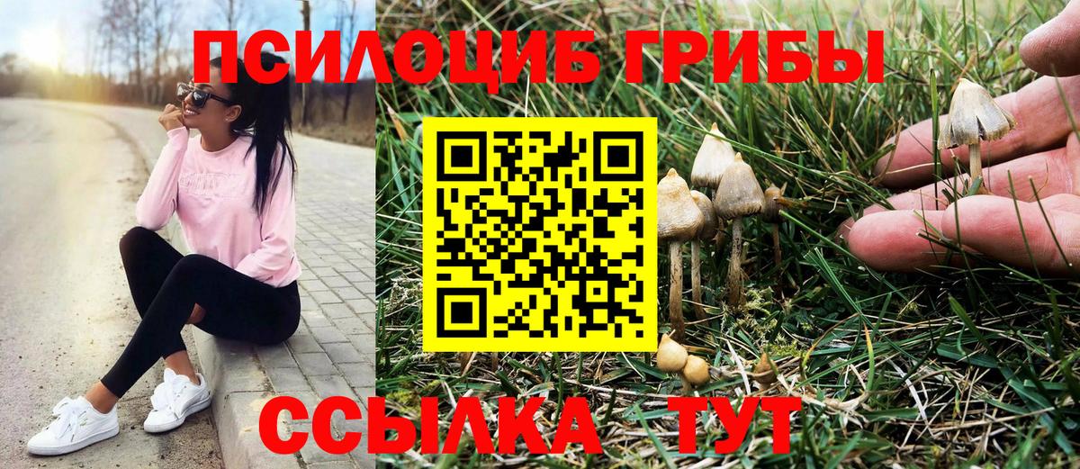Галлюциногенные грибы MAGIC MUSHROOMS Сланцы