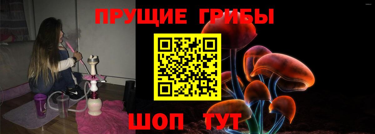 Сланцы  что такое   Вход с VPN  Псилоцибиновые грибы Psilocybine cubensis  Псилоцибиновые грибы Psilocybe 