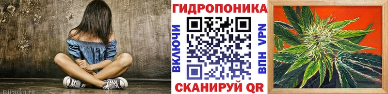 мега вход  Сланцы  Конопля конопля 